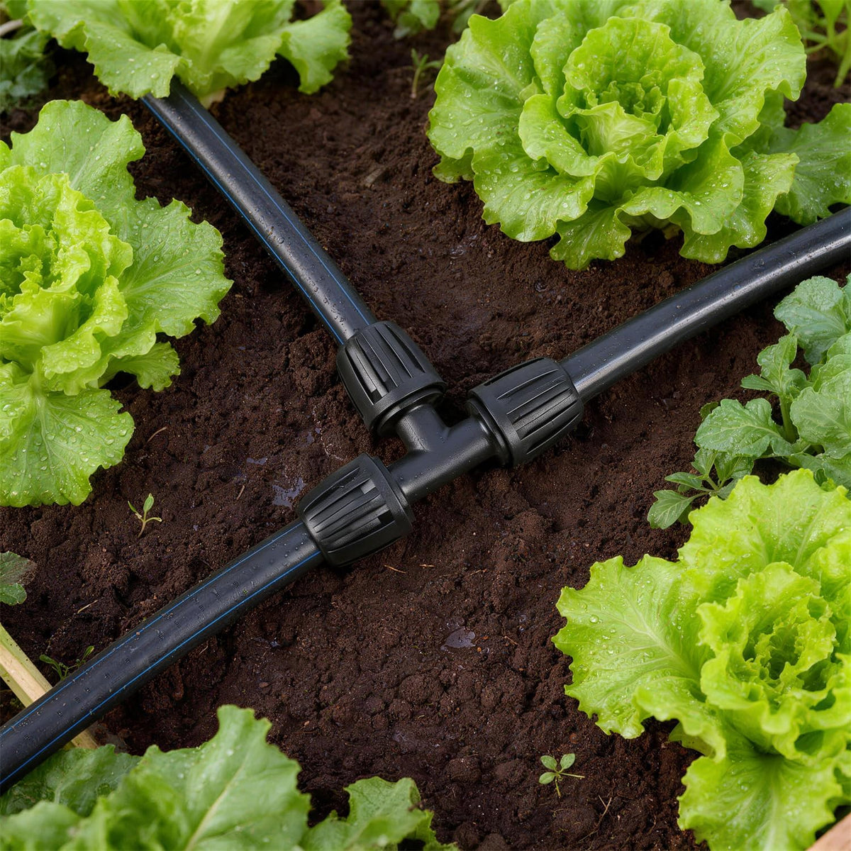 Copadri compatible 1/2 inch tubing setup with wider body for easier handling