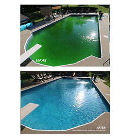 Coral Seas Green Aid Green To Clean applied around pool perimeter for stain prevention.