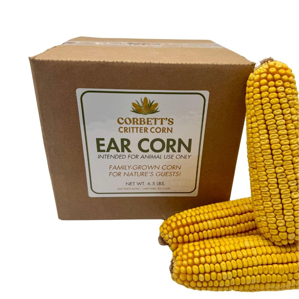 Corbett's Critter Corn whole cob husk-free for easy wildlife feeding
