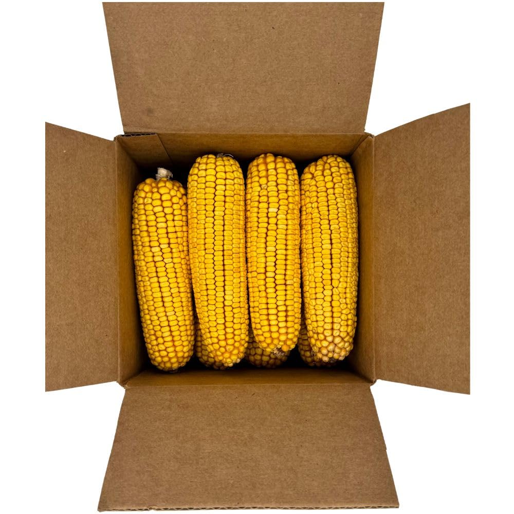 Corbett's Critter Corn wildlife snack attracts squirrels and birds
