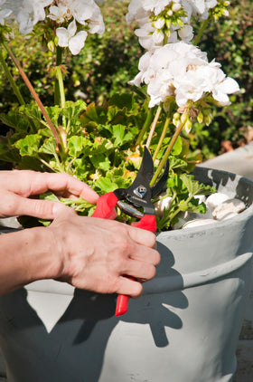 Corona BP 3214D ComfortGEL pruner cushioned grip reduces hand fatigue.