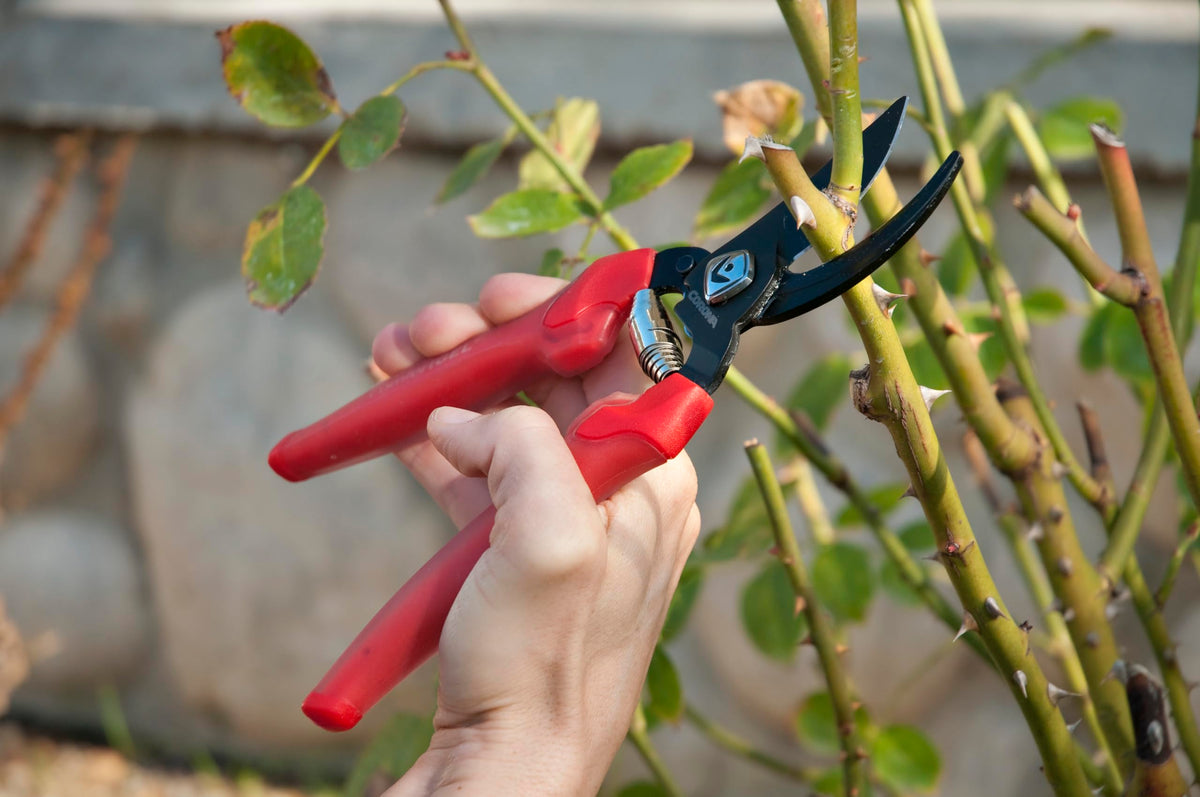 Corona BP 3214D ComfortGEL pruner handle detail with ergonomic grip.