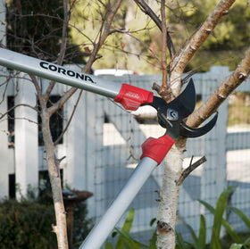 Corona branch cutter handles 1-1/2 inch capacity for mid-sized branches efficiently.
