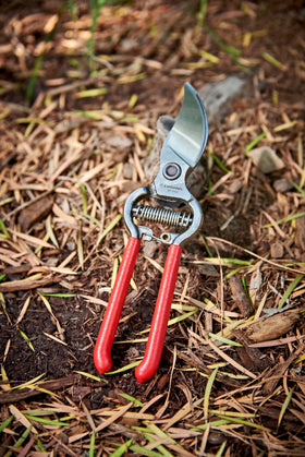 Corona ClassicCUT pruner in a garden setting for shrubs and roses pruning
