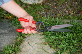 Corona ClassicCUT highlights lawn edging along walkways with accurate trimming.