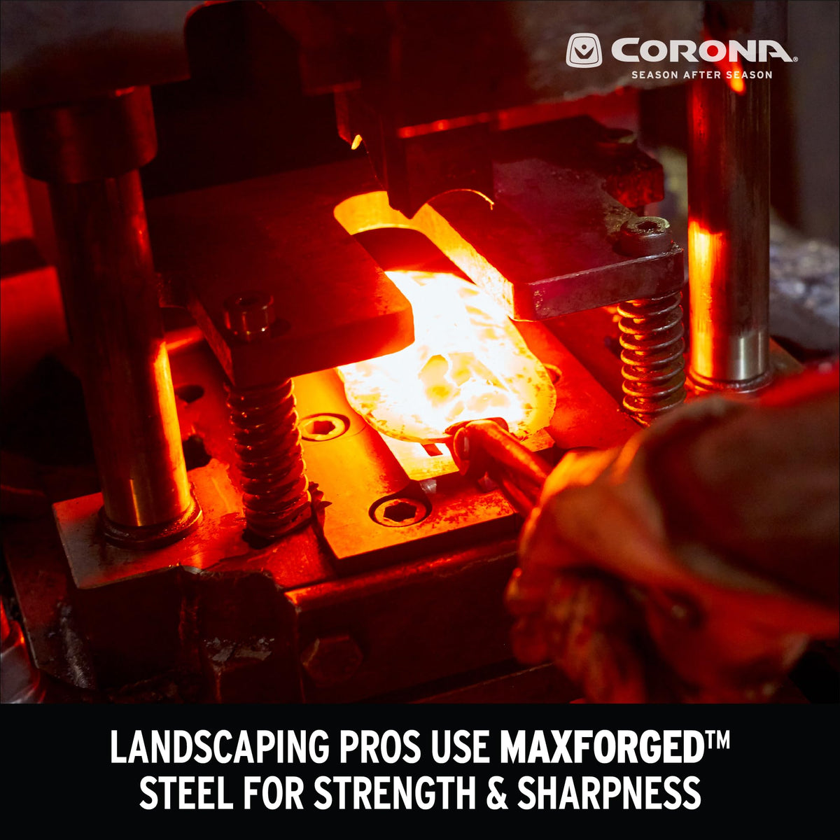 Corona ClassicCUT pruner blade close-up highlighting 1/2-inch capacity.