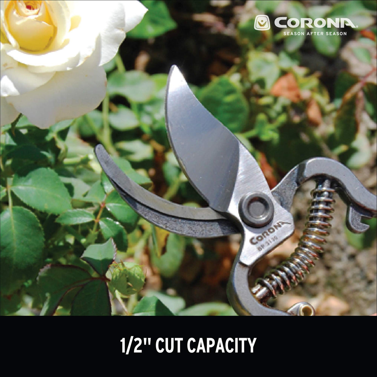 Corona ClassicCUT pruner forged steel construction for long-lasting strength.
