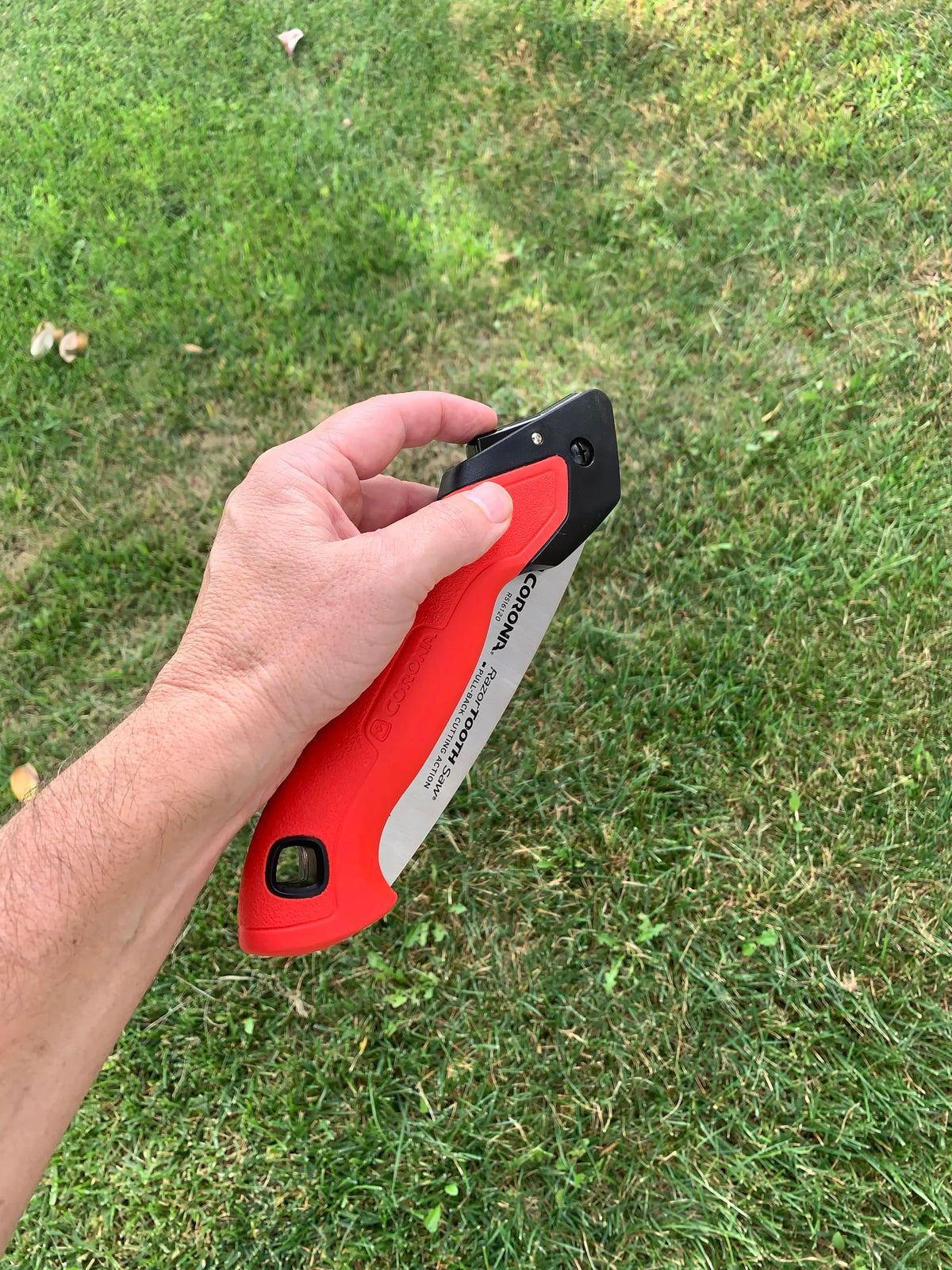 Corona RazorTOOTH compact folding design fits in a pocket.