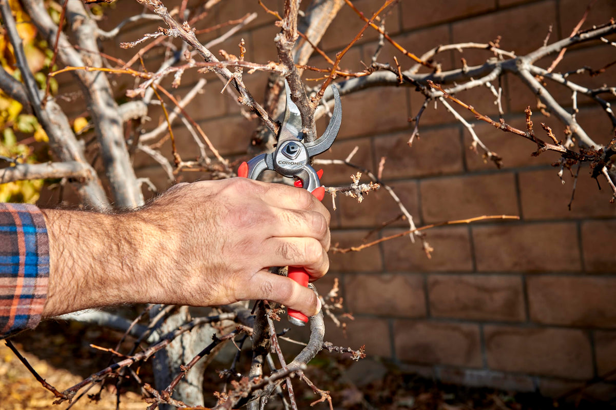 Corona DualCUT cutting action highlights smooth, clean cuts with less effort.
