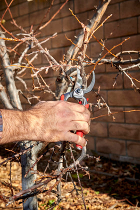 Corona DualCUT safety lock keeps blades secured when stored.