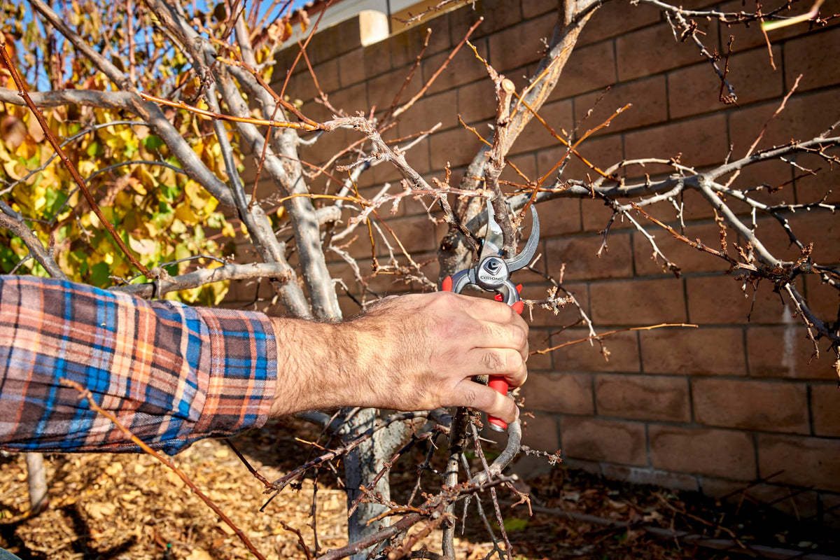 Corona DualCUT compact design fits tool belt for on-the-go pruning.