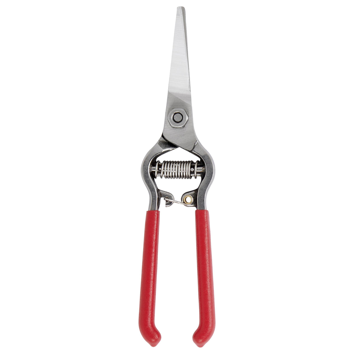 Corona FS-4350 straight narrow blades for tight spaces in pruning