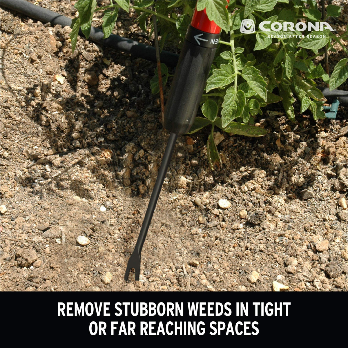 Corona GT3040 between plants for precise weed removal