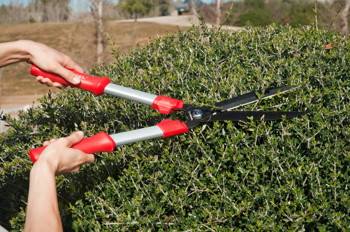 Corona HS3244 ComfortGEL hedge top trim in action for precise shaping
