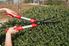 Corona HS3244 ComfortGEL hedge top trim in action for precise shaping