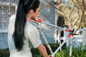 Corona bypass lopper with shock-guard reduces wrist fatigue during long cuts.