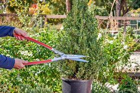 Corona PrecisionCUT aluminum handle offers balanced control for comfortable pruning.