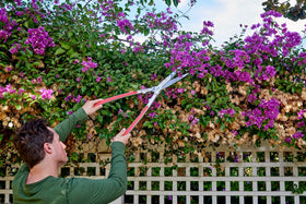 Corona PrecisionCUT is ideal for routine hedge maintenance and shaping.