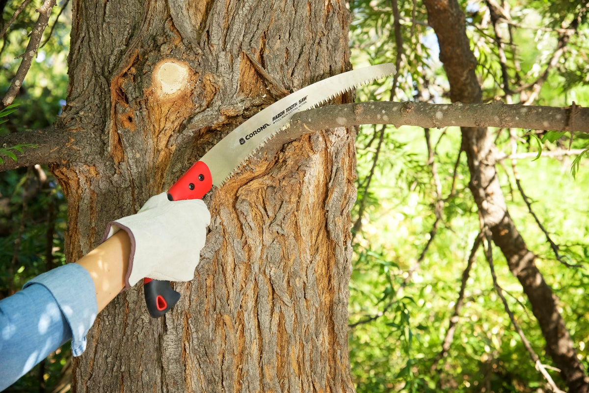 Corona RazorTOOTH chrome-coated blade reduces friction for cleaner cuts.