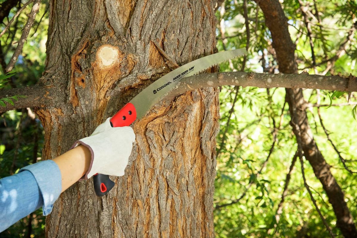 Corona RazorTOOTH in-use demonstrates one-handed pruning in tight spaces.