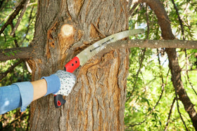 Corona RazorTOOTH teeth impulse-hardened provide longer tool life for repeated pruning.