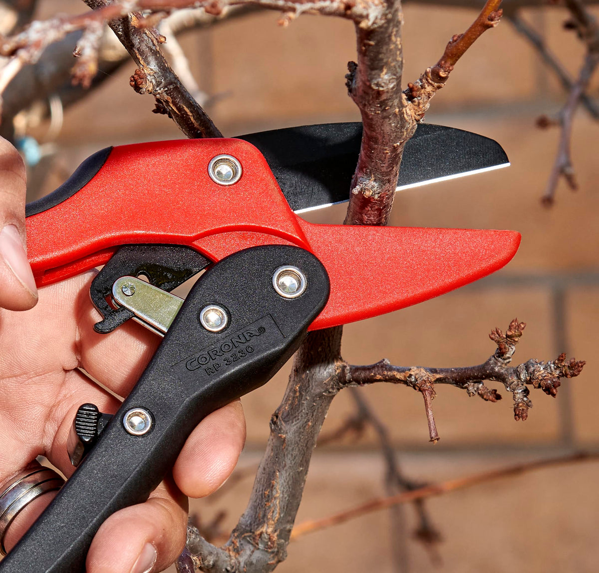 Corona RP 3230 durable steel blade delivering precise, clean cuts.