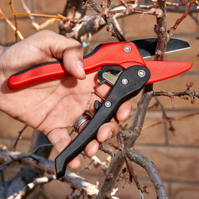 Corona RP 3230 ergonomic non-slip grip for comfortable extended pruning.