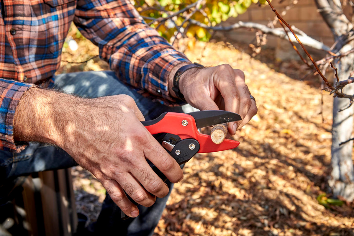 Corona RP 3230 lightweight yet sturdy for everyday garden tasks.