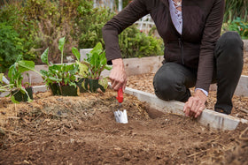 Corona Tools ComfortGEL grip trowel handle demonstrates non-slip comfort for extended gardening sessions.