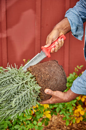 Corona Tools CT15409 Hori garden knife in action in raised bed