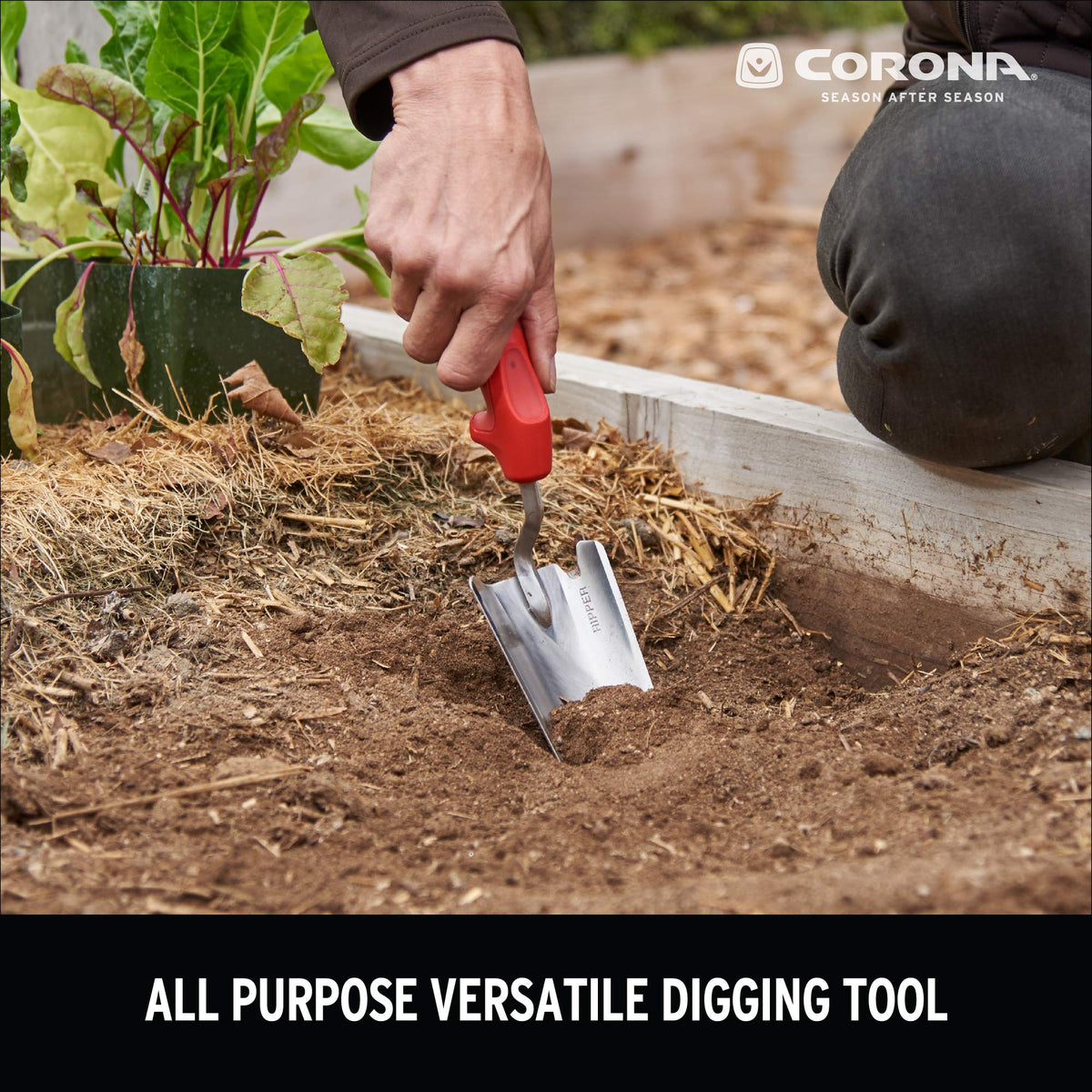 Corona Tools trowel raised-bed gardening ready for precise planting near existing plants.