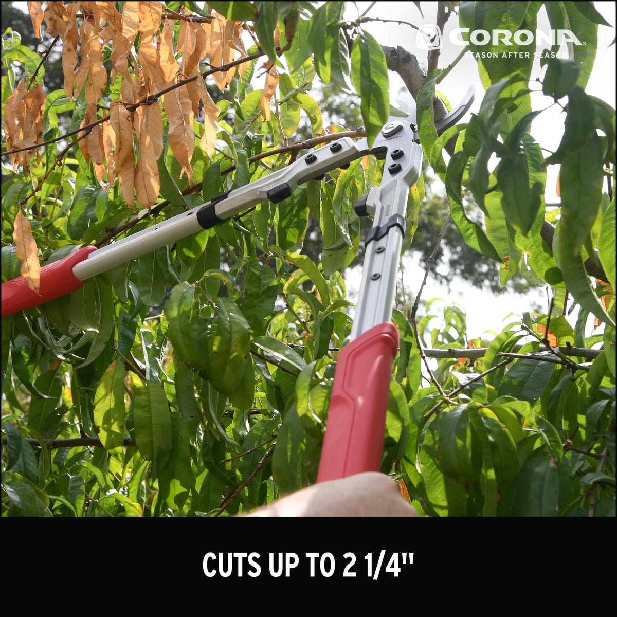 Ergonomic handles provide comfort and leverage during long pruning sessions.