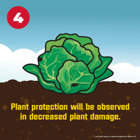 Corry's Slug & Snail Killer remains effective after rain