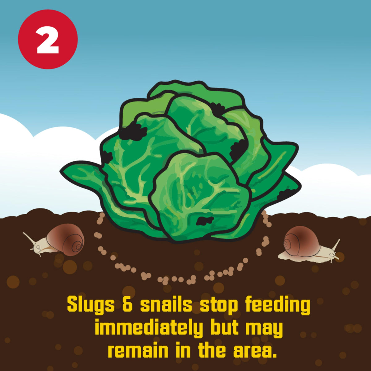 Corry's Slug Snail Killer box shows 8,750 sq ft coverage.