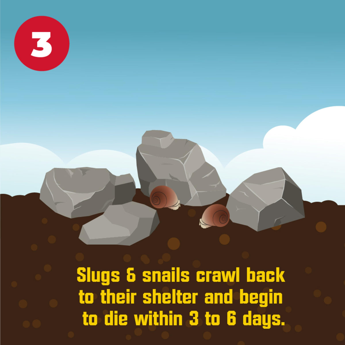 Corry's Slug & Snail Killer used on turf for durable protection