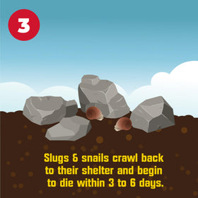 Corry's Slug & Snail Killer used on turf for durable protection
