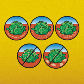 Corry's Slug & Snail Killer packaging and label