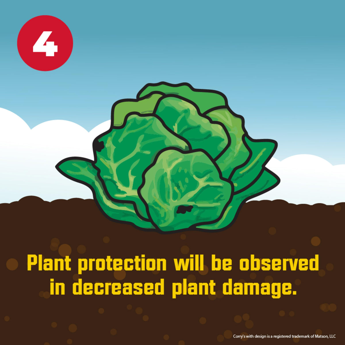 Corry's Slug Snail Killer allows people and pets to enter immediately after application.