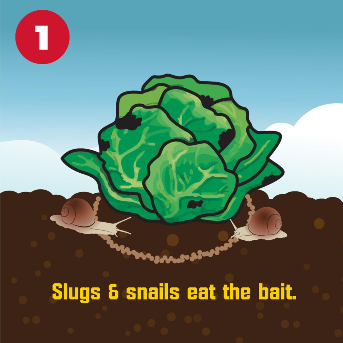 Corry's Slug Snail Killer scattered on soil for easy application.