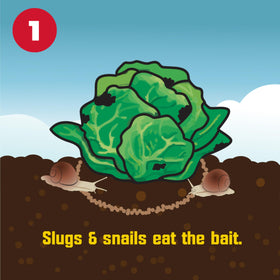 Corry's Slug Snail Killer scattered on soil for easy application.