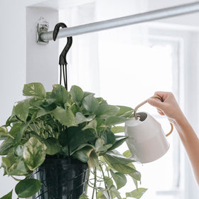 Cosmos terrace display with hanging planters for outdoor decor.