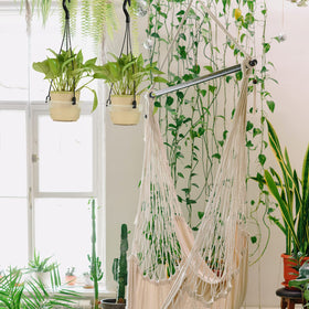 Cosmos indoor-outdoor plant display maximizes vertical space.