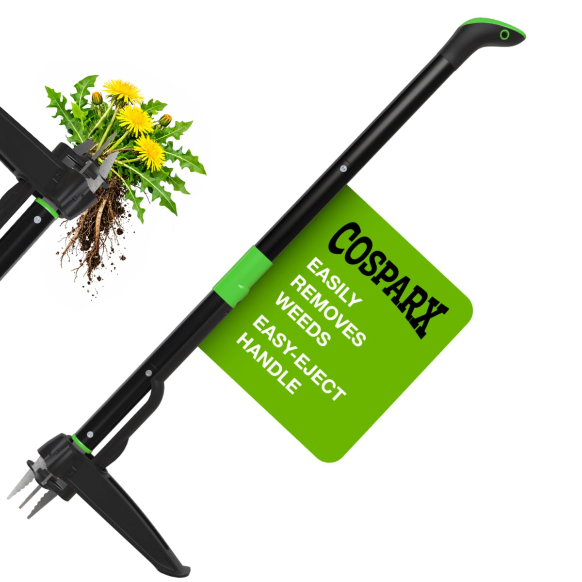 COSPARX weed puller with 43-inch handle for standing weed removal.