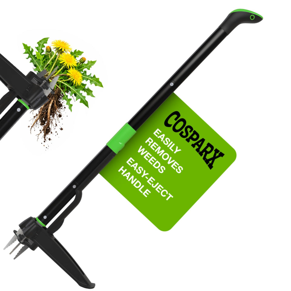 COSPARX weed puller with 43-inch handle for standing weed removal.