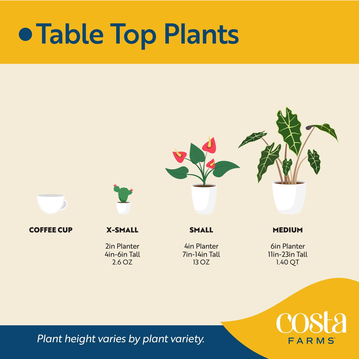 Costa Farms Mandevilla lush green foliage supports outdoor color and texture.