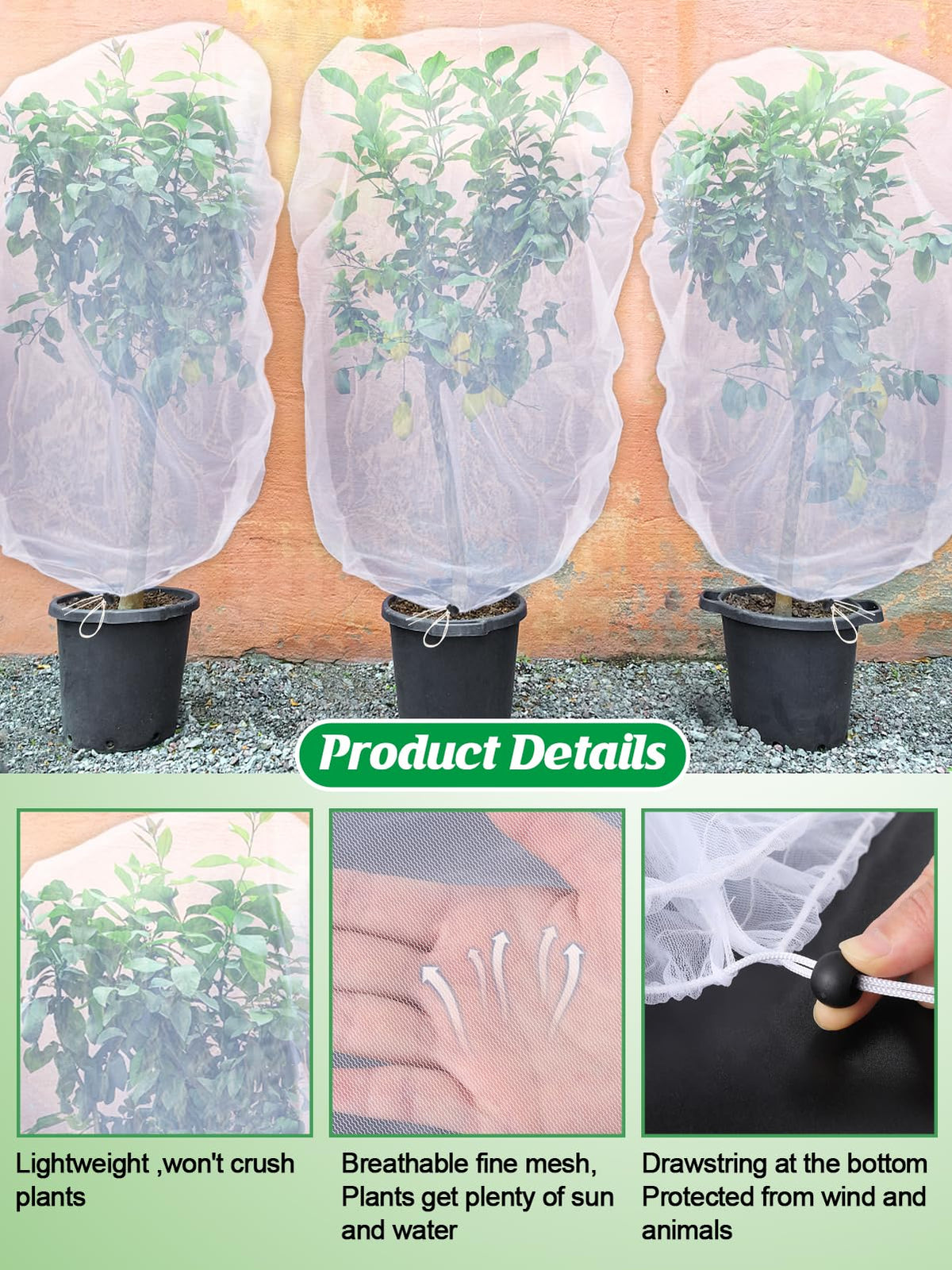 Cosweet blueberry protection netting covers berries while deterring birds safely.