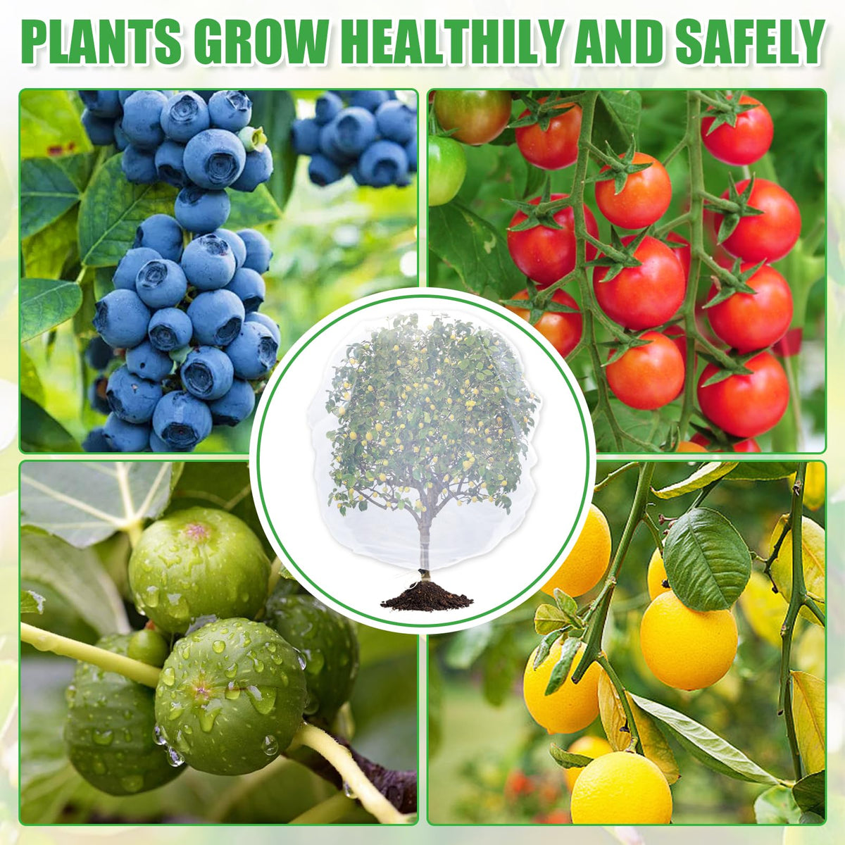 Cosweet easy-to-fit lightweight cover protects plants with minimal setup.