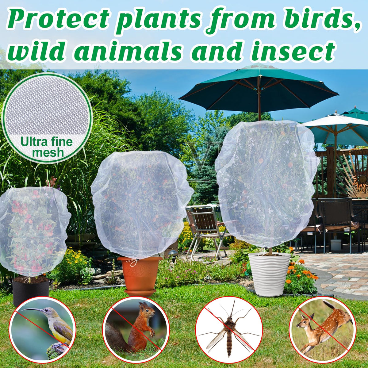 Cosweet fine mesh netting provides breathable protection without blocking light.