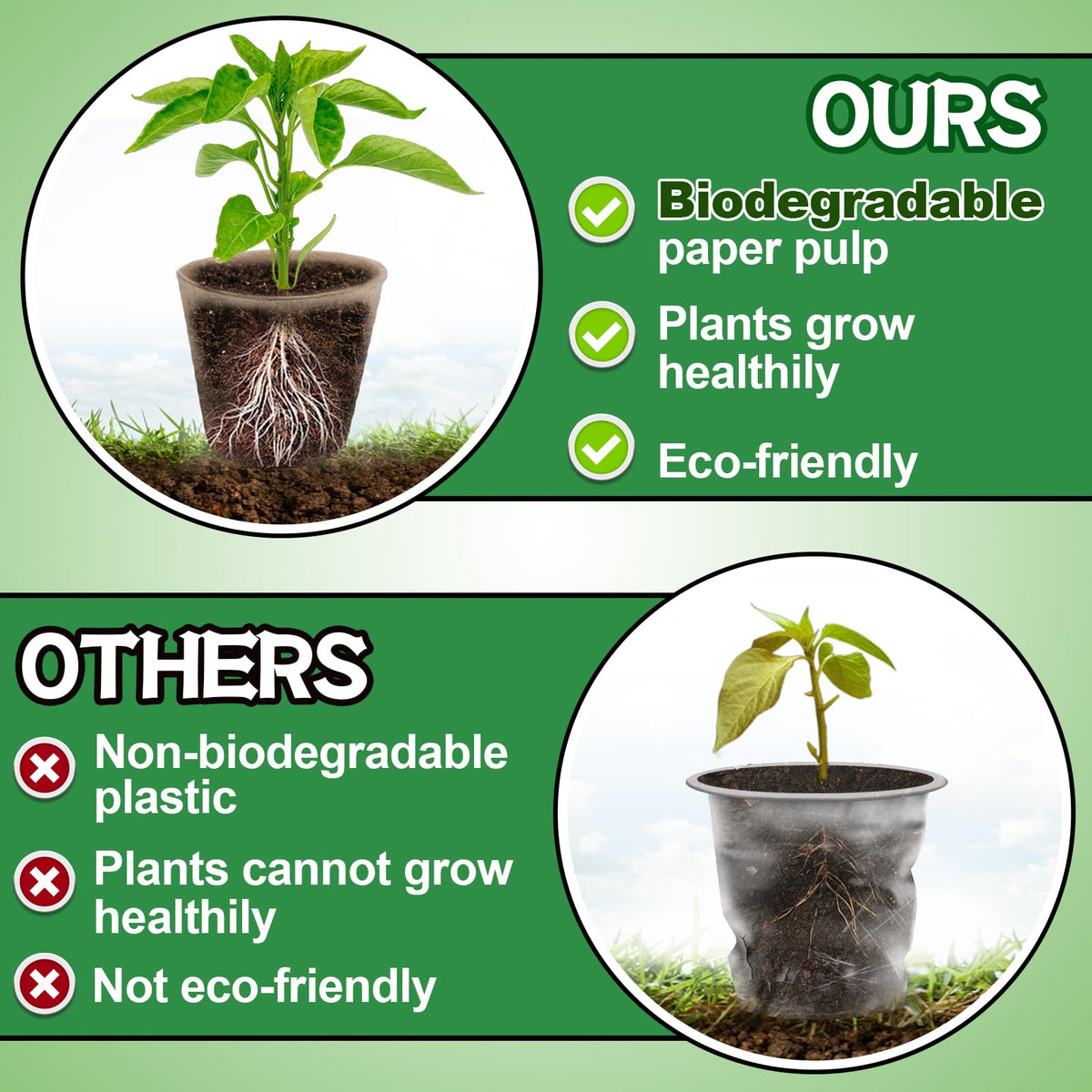 Cosweet peat pots with drainage holes promote healthy root growth