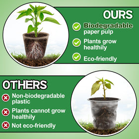 Cosweet peat pots with drainage holes promote healthy root growth